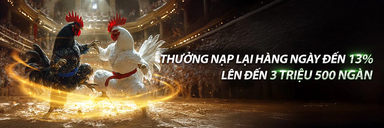Đá Gà Trực Tuyến FCB8 Info - Sân Chơi Hấp Dẫn